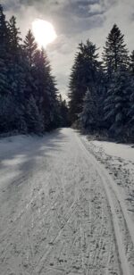 gite à louer en haute loire