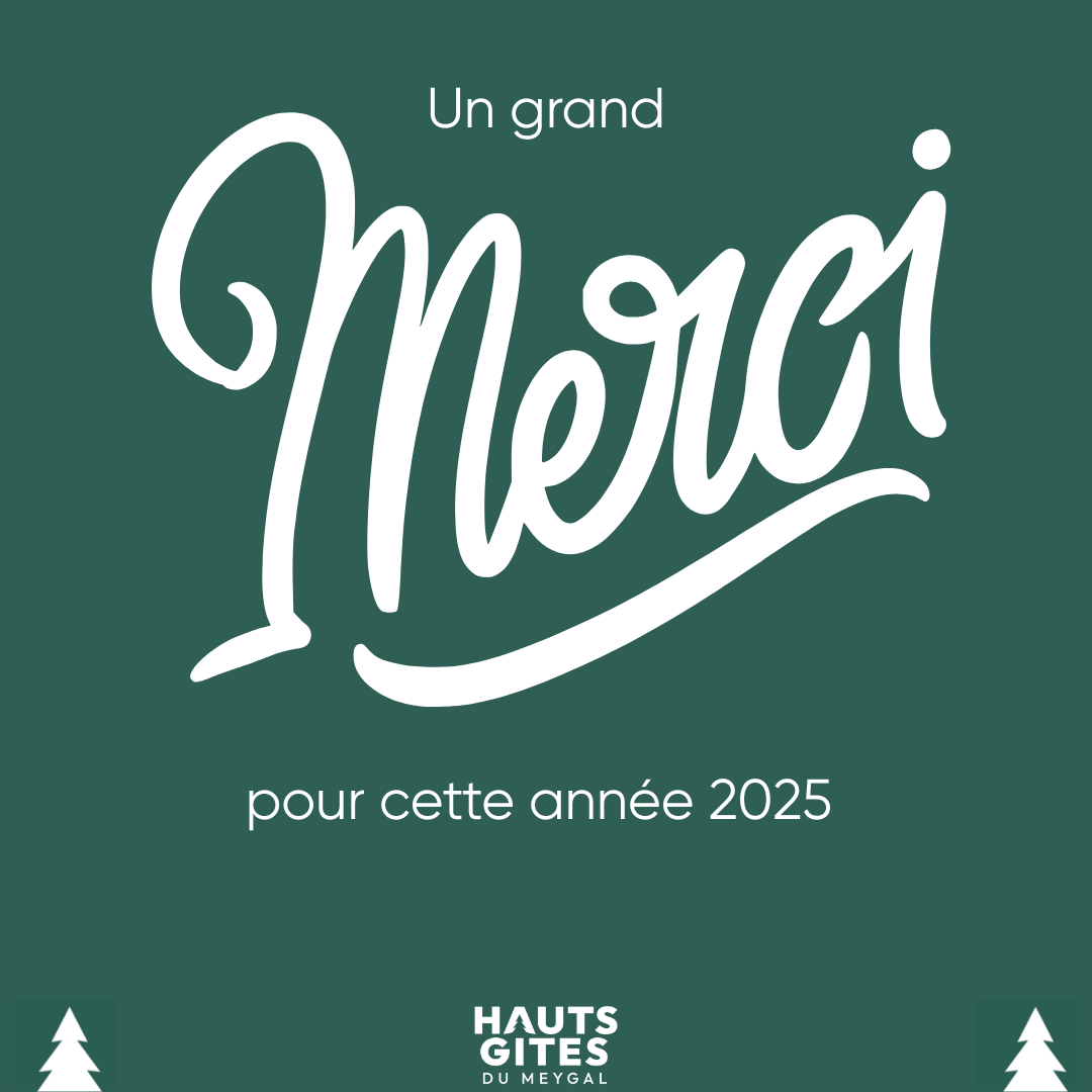 🤎 Merci pour cette belle année 2025 🤎