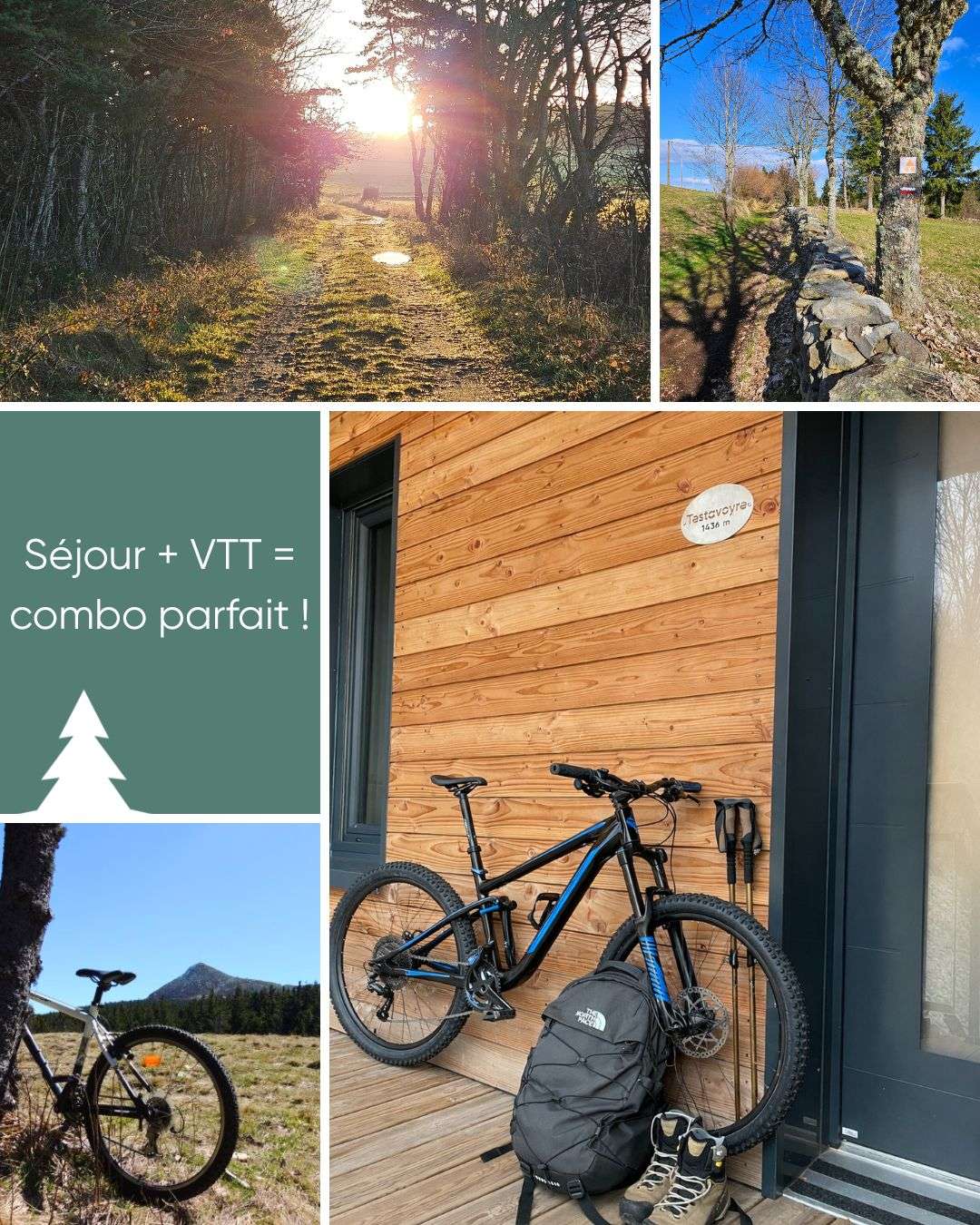 🌲 Envie de grand air ?